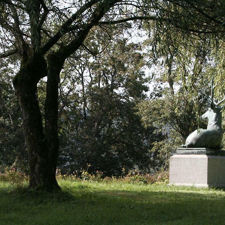 Schloss Wittgenstein Daire Bad Laasphe Dış mekan fotoğraf