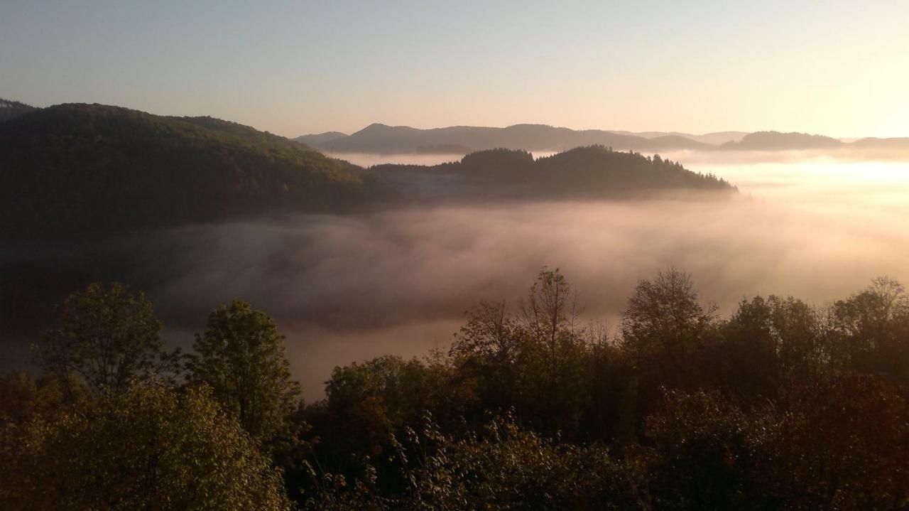 Schloss Wittgenstein Daire Bad Laasphe Dış mekan fotoğraf