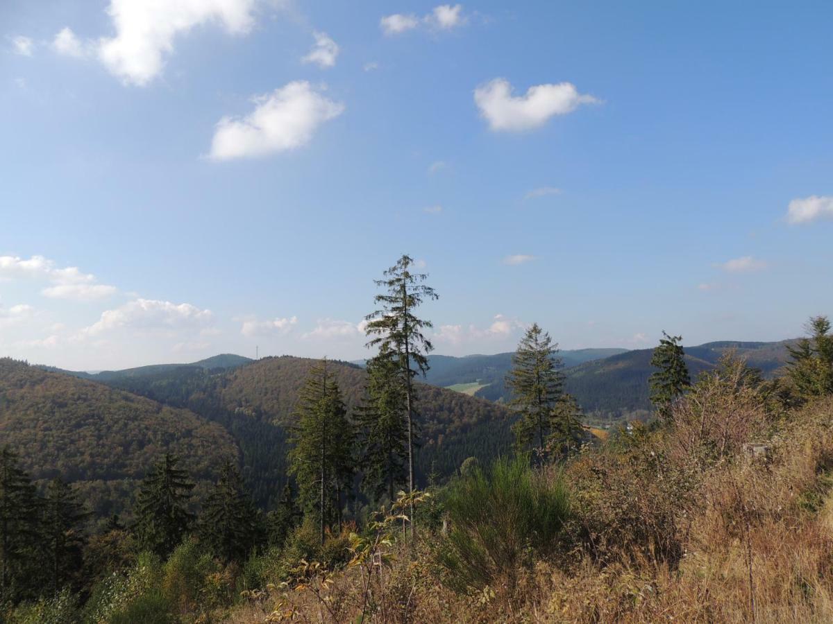 Schloss Wittgenstein Daire Bad Laasphe Dış mekan fotoğraf